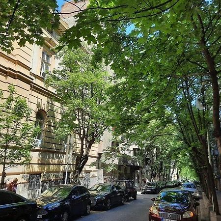 Apartment 51 - Bright, Spacious, Lux 1 Bedroom In The City Center - Stari Grad Beograd Eksteriør bilde